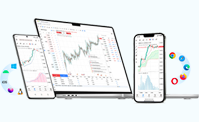MT5-网页版
